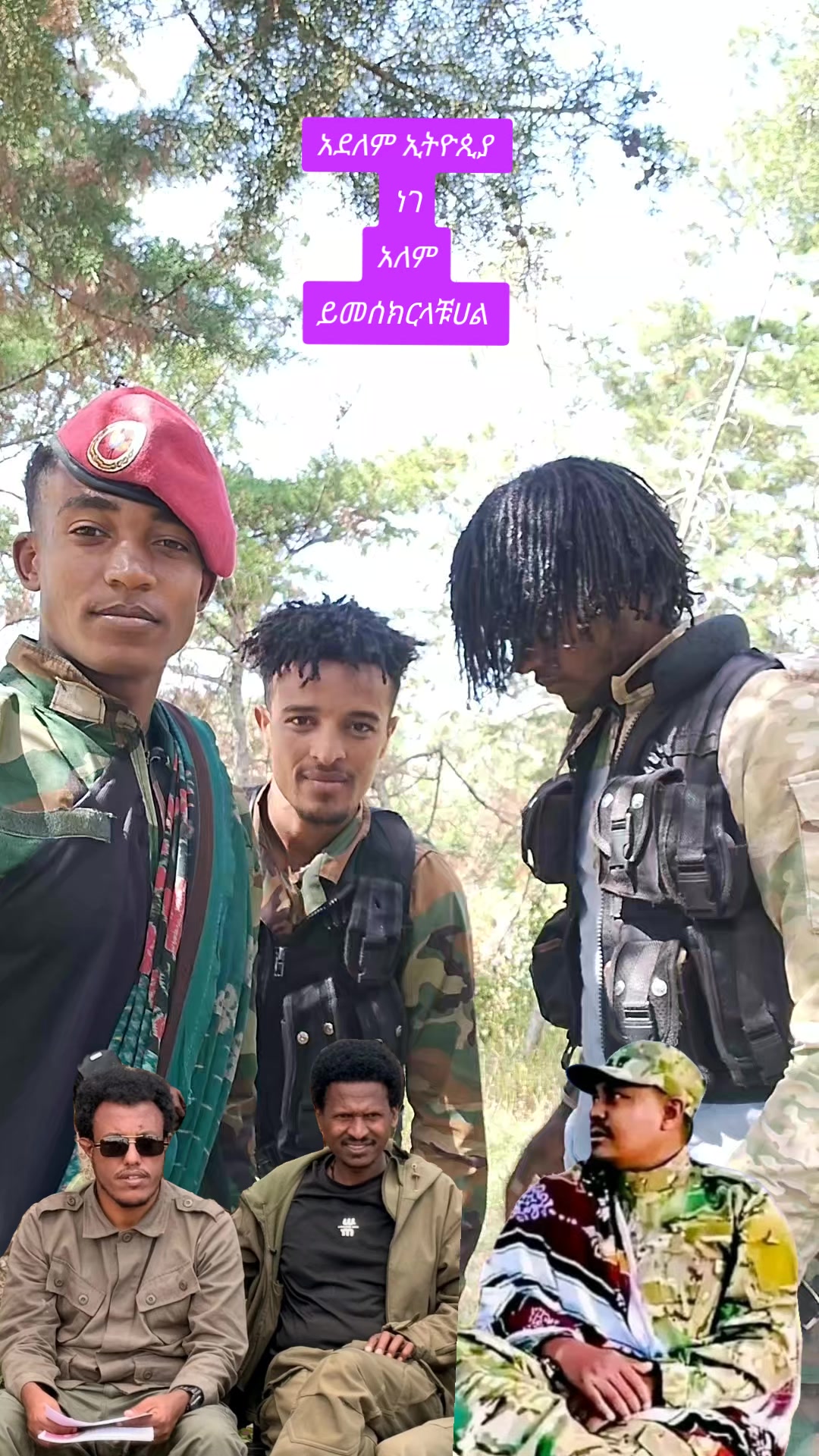 @እቢተኛው ሸማቂው የጎቸው