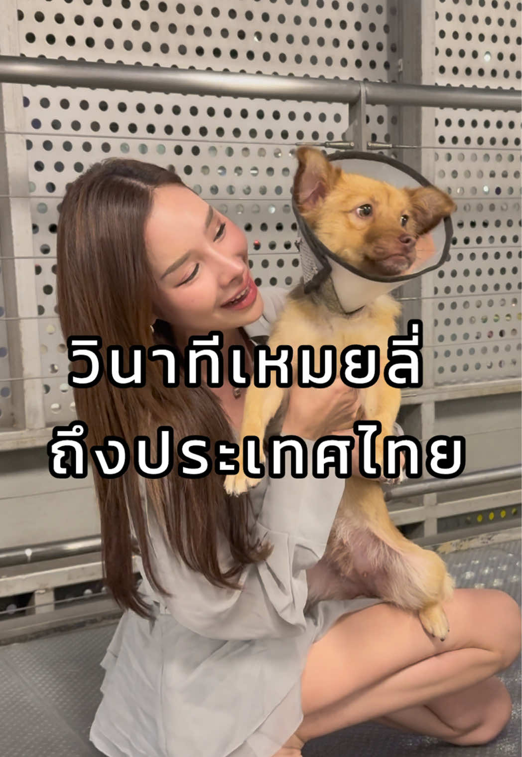 @ฟ้าบาร์บี้ช่องจริง