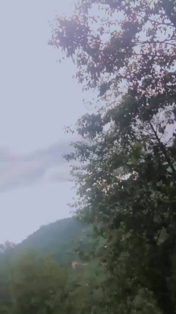 @limbunikanxi231