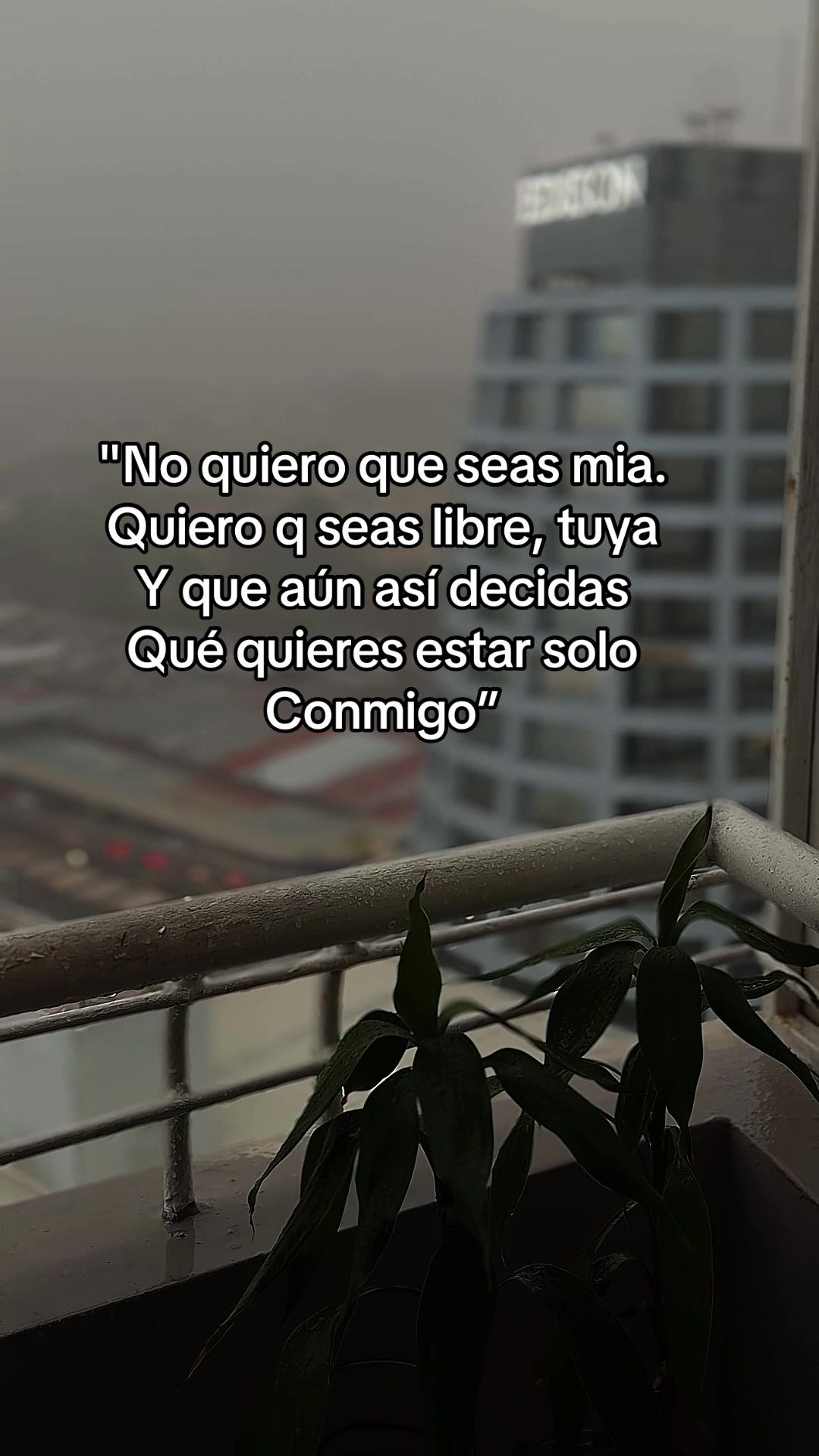 @Sin Putas Ganas
