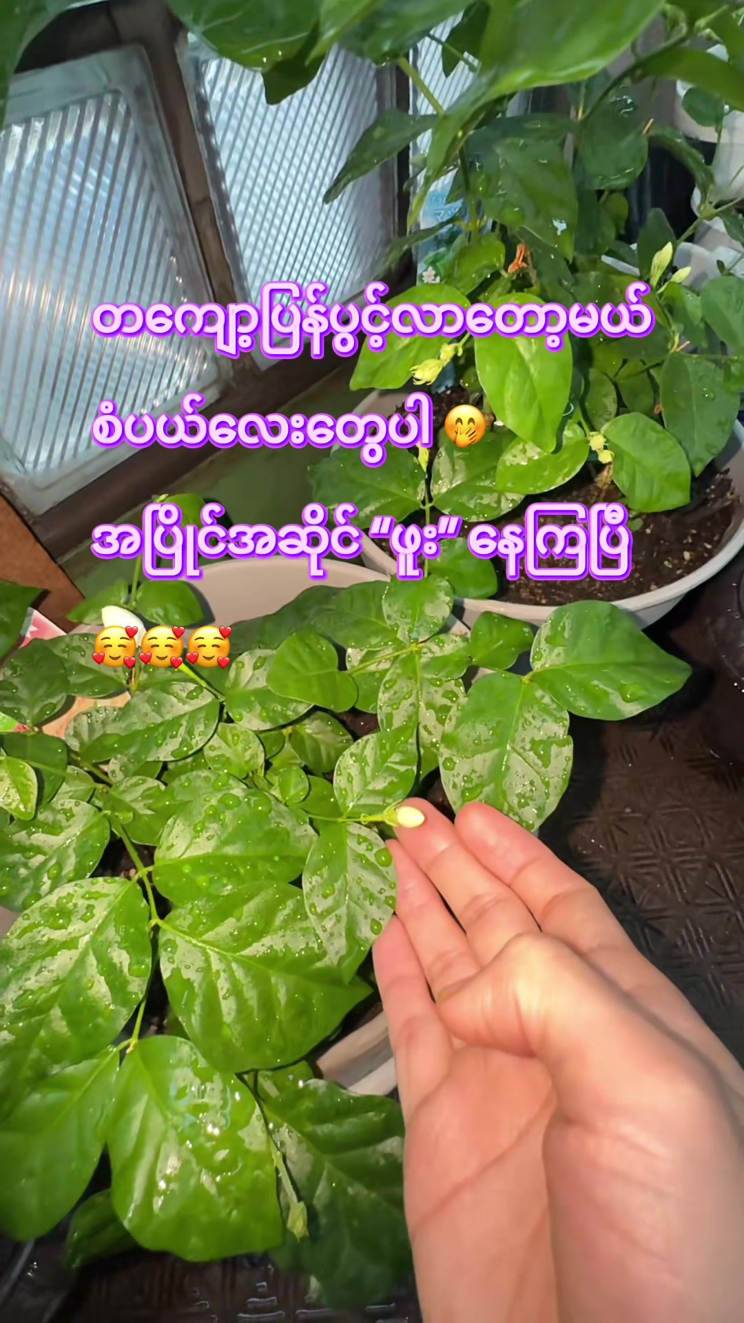 @ðïžCozyWithNyein ðïžâš
