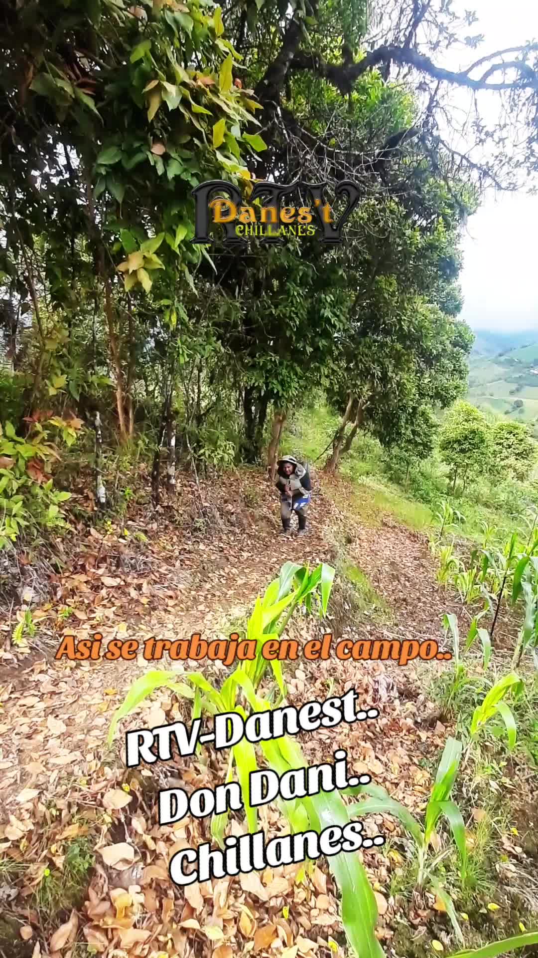 @Don Dani..Rtv-Danest.Chillanes