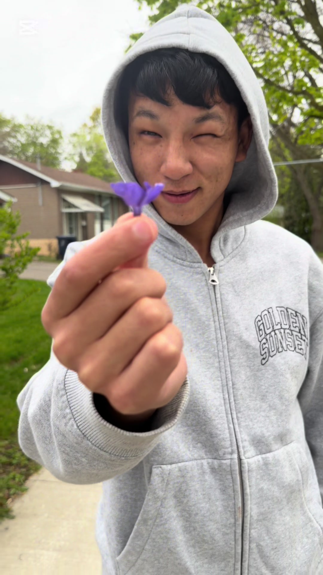 @pyangzommm
