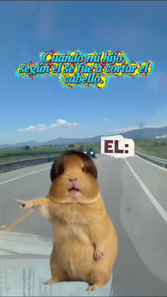 @🇲🇽_𝒜𝓂&eacute;𝓇𝒾𝓀𝓊𝓈𝓈_🇲🇽