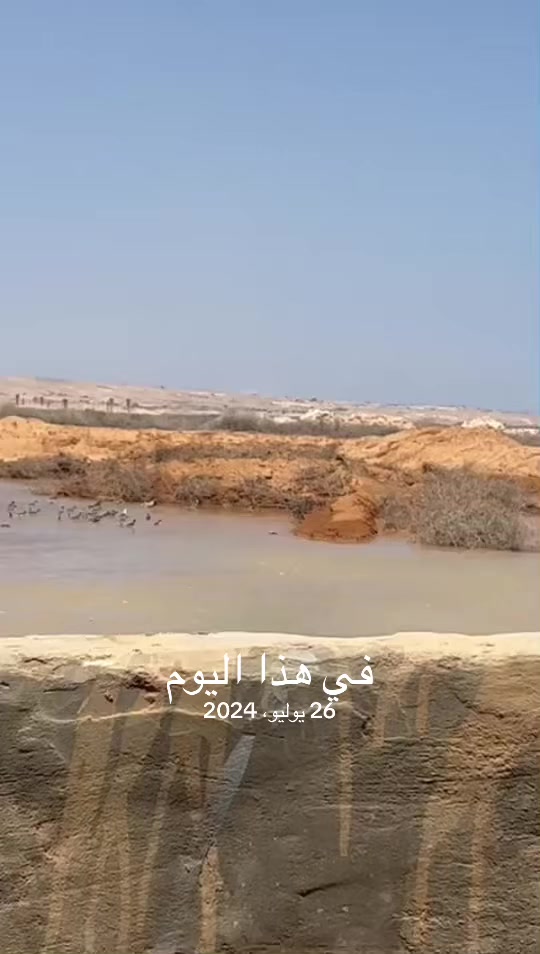 @حكيم عياد المغواري