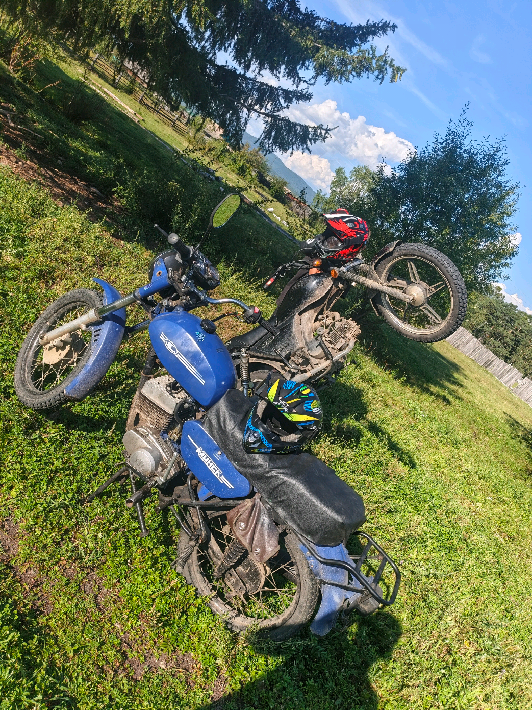 @шарапик 336