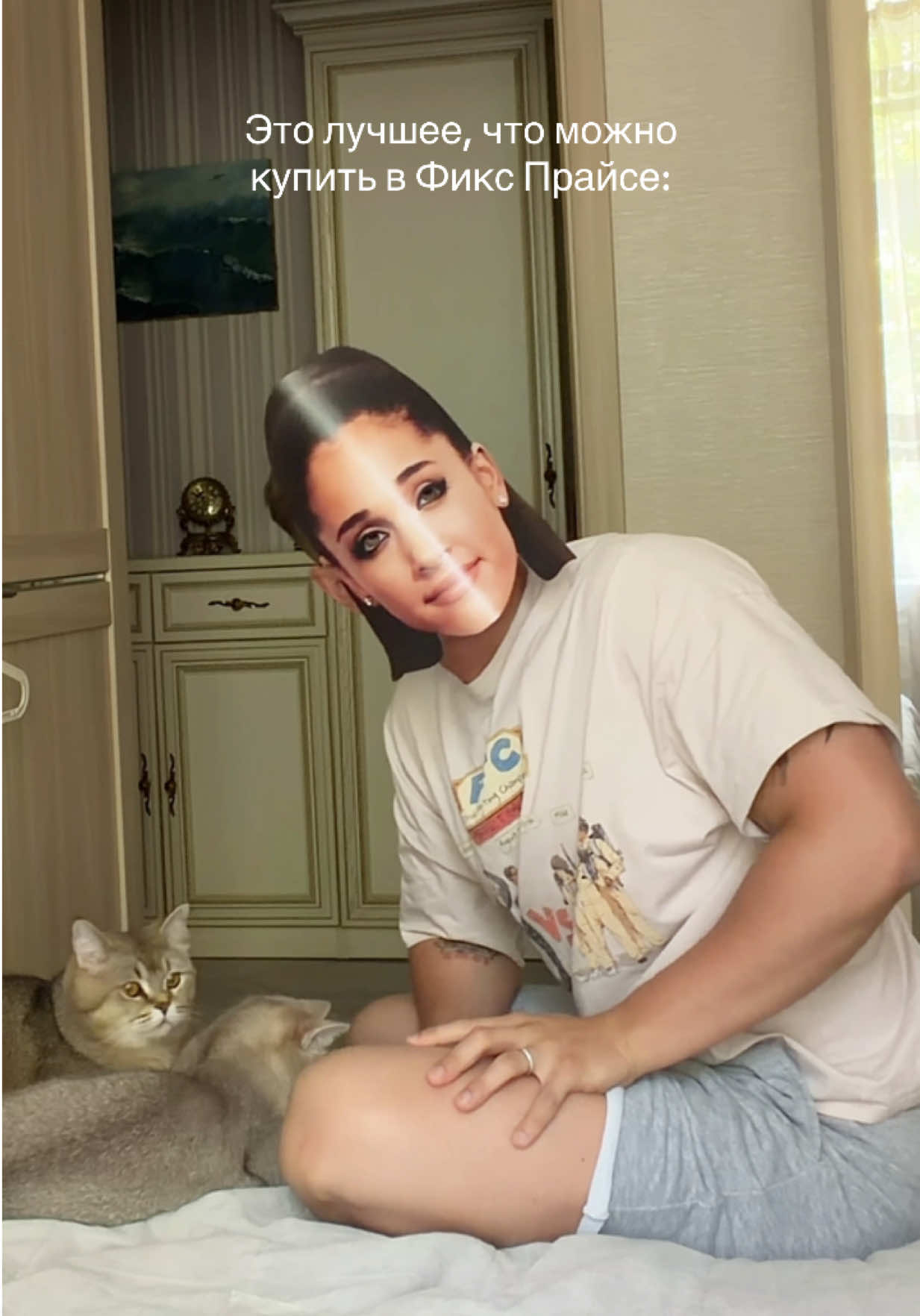 @котопапа
