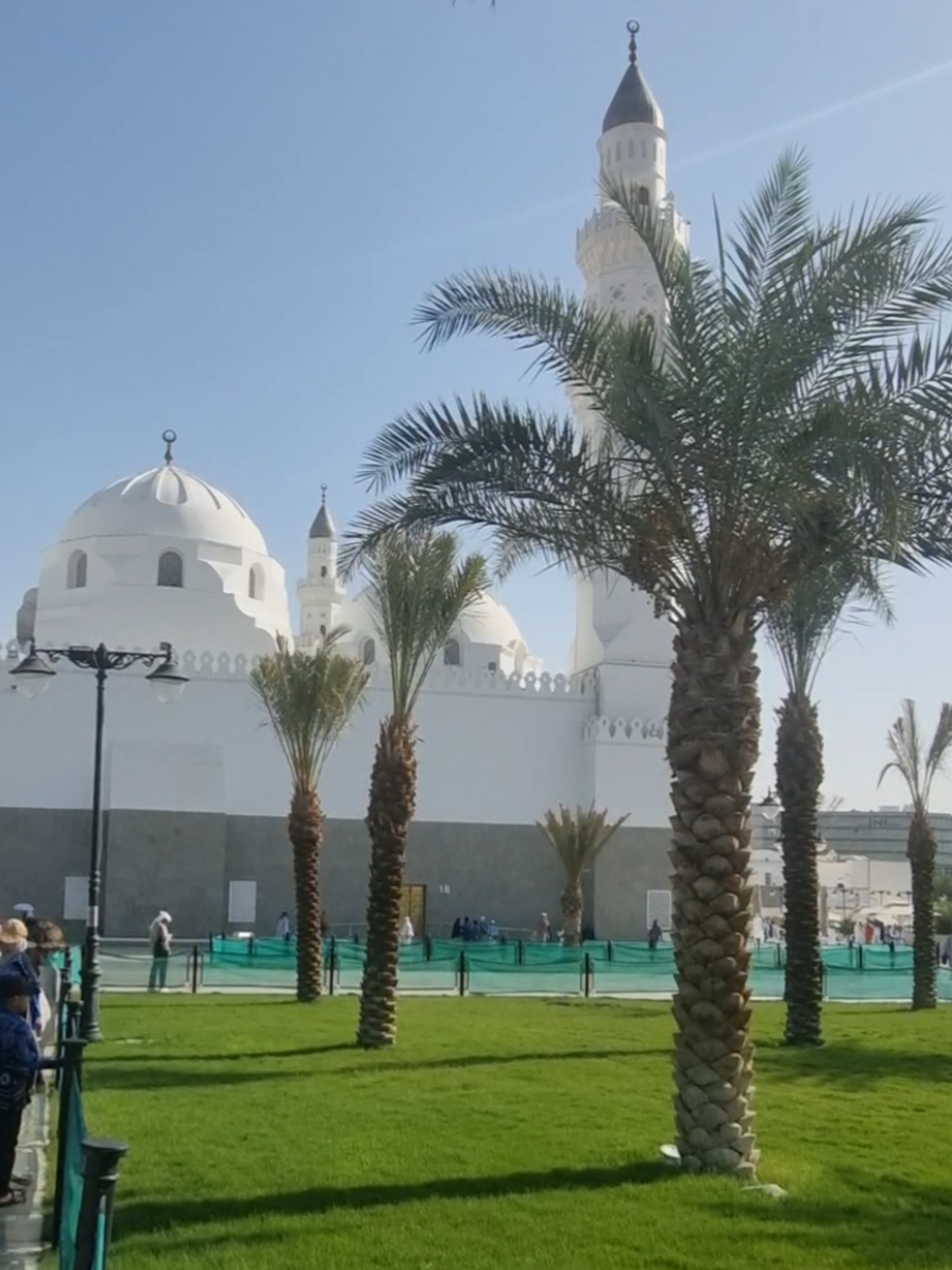 @سعود من المدينة المنورة 🛑