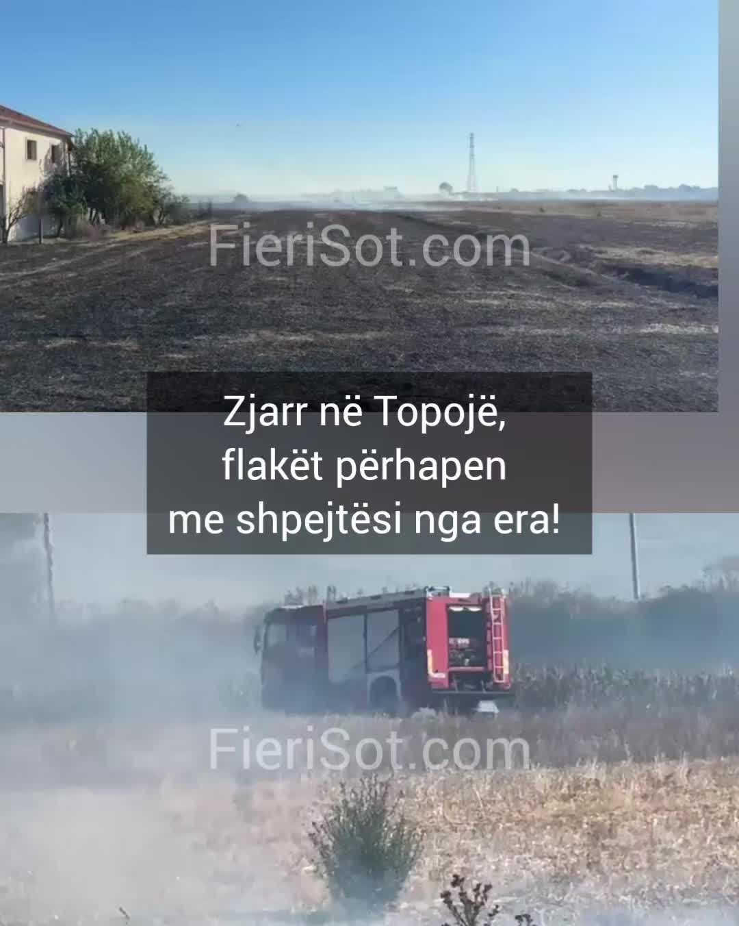 @Fieri Sot