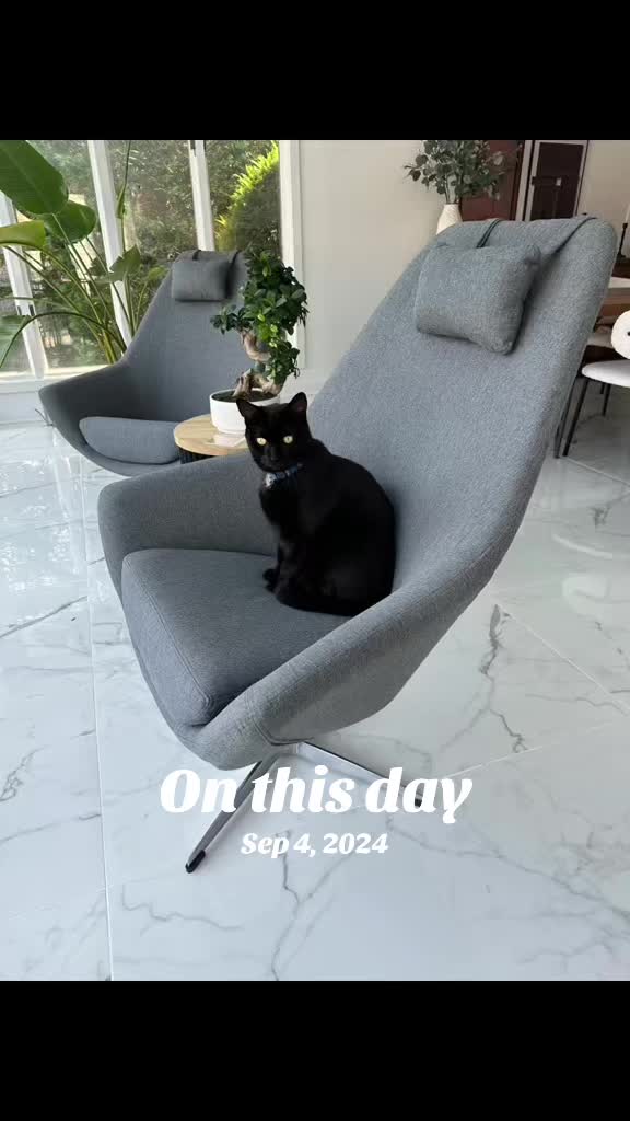 @Oscar Jeremy the cat!
