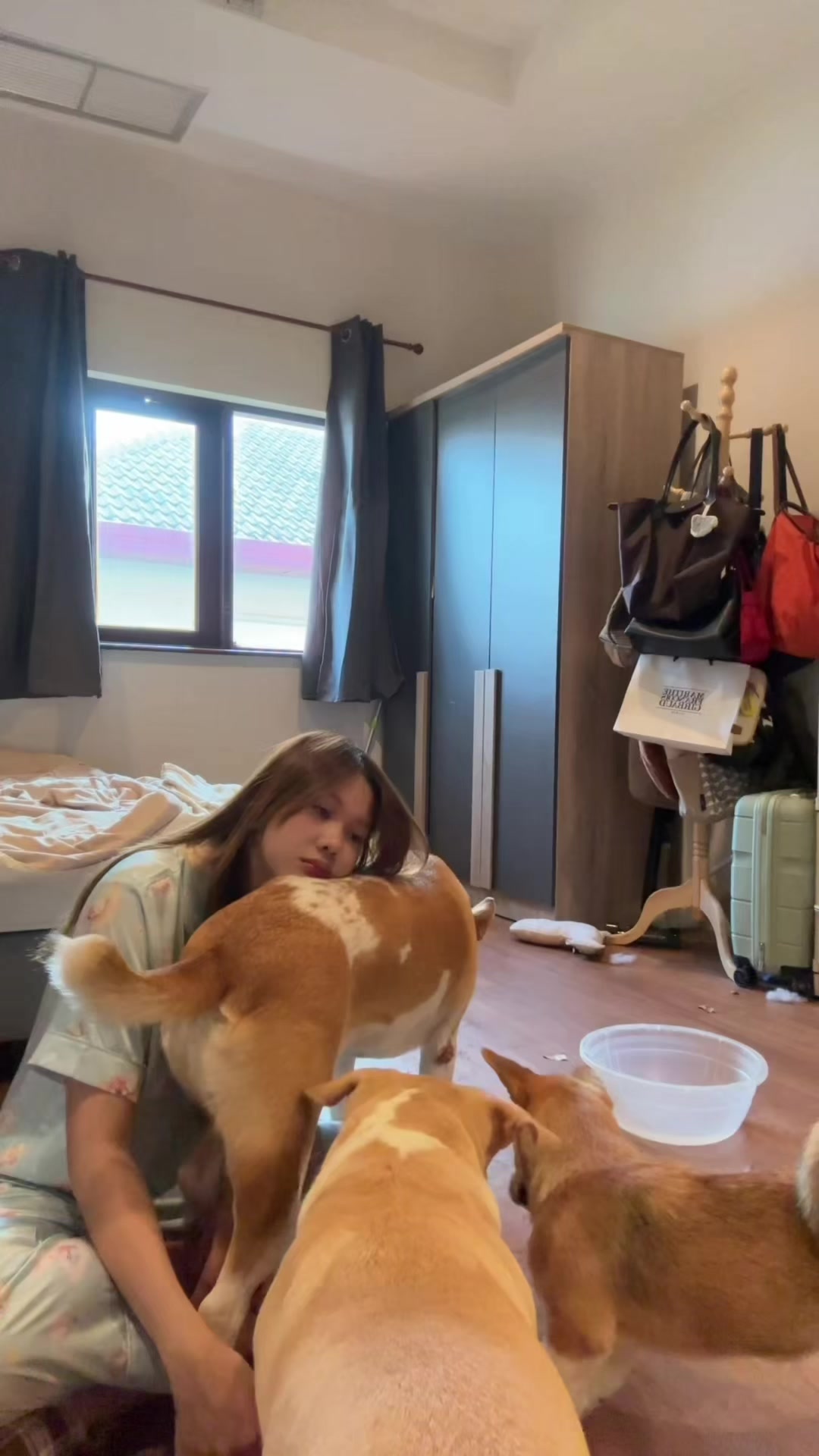 @สามชั้นหมาโหลดต่ำ