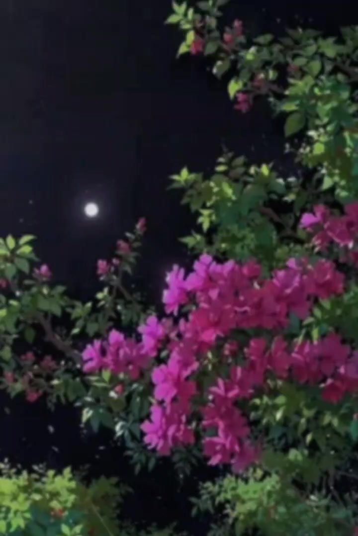 @আল্লাহ'র বান্দি