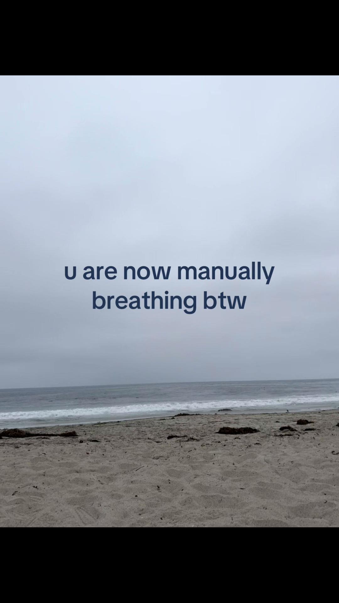 @sorii