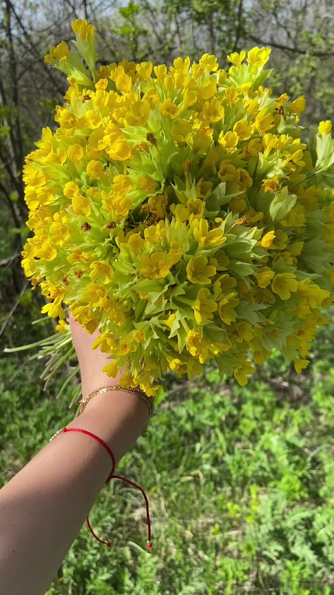 @qarayeva1_
