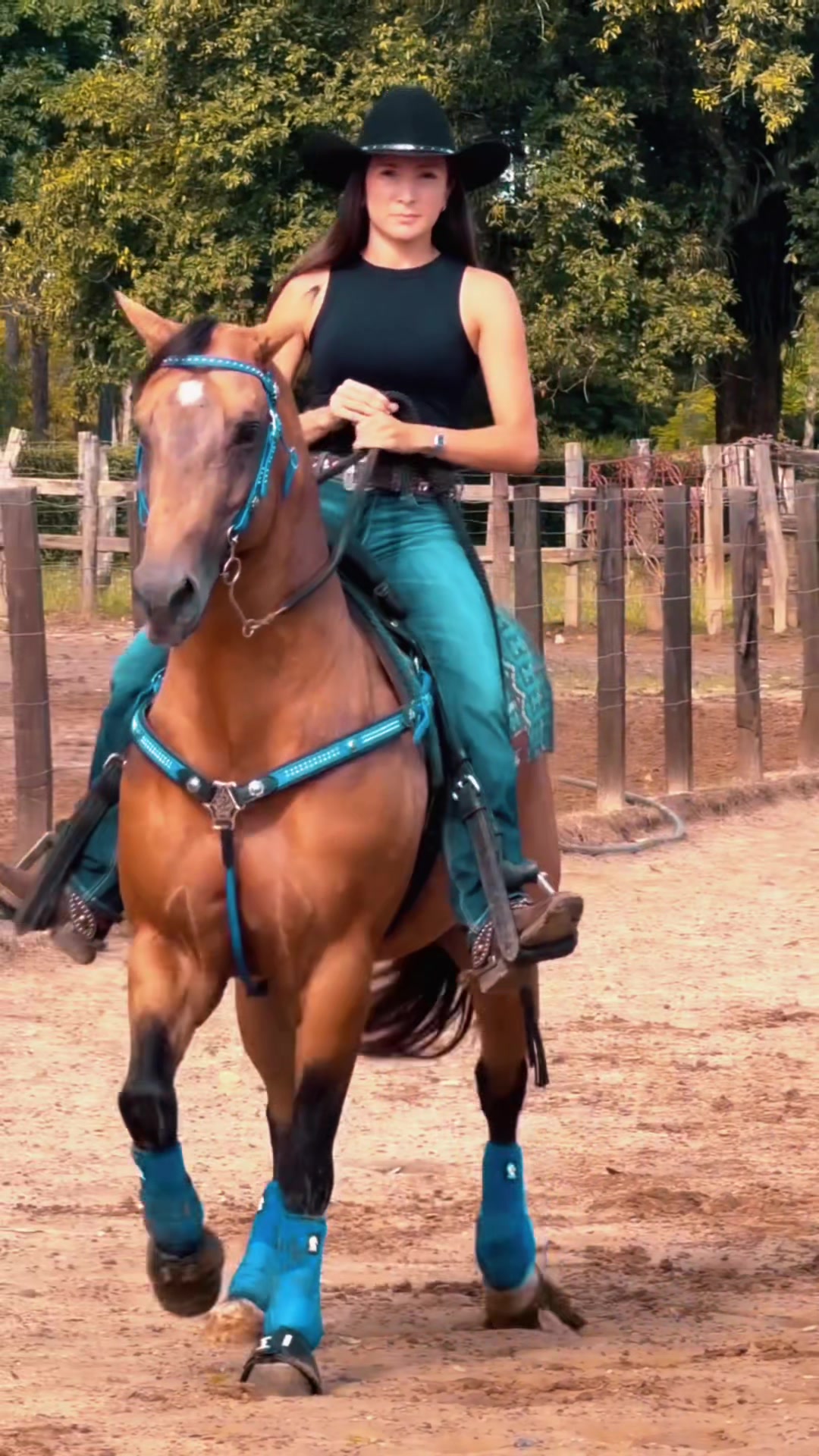 @danihorses2