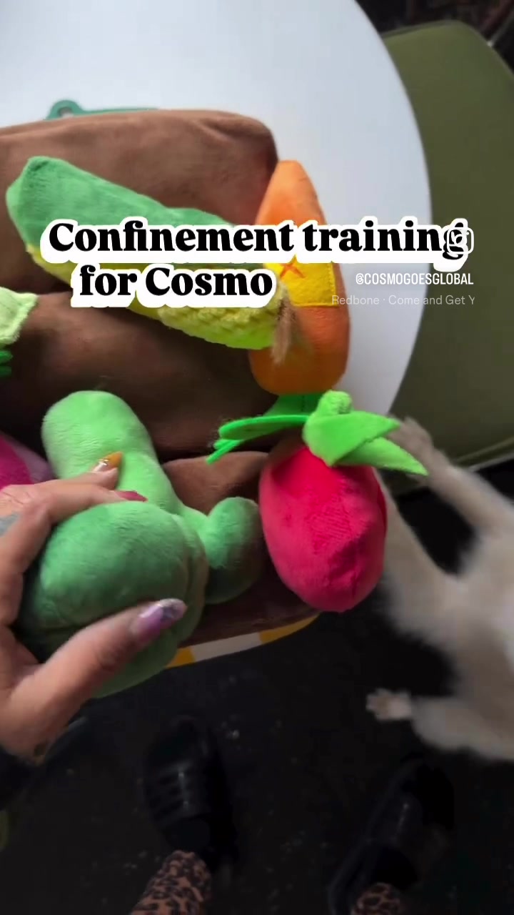 @cosmogoesglobal8