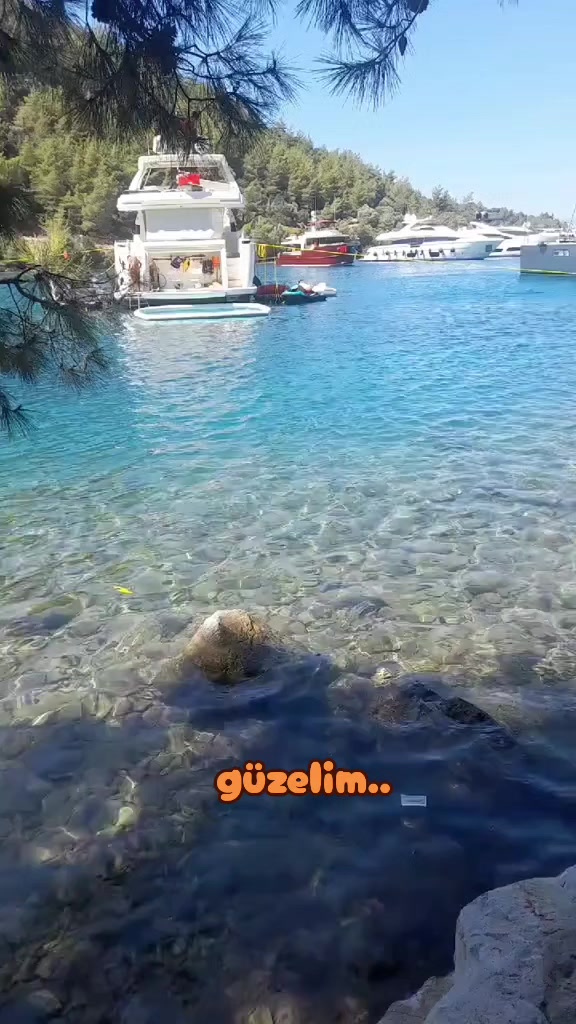 @👤 H&alpha;ƙ&alpha;ɳ