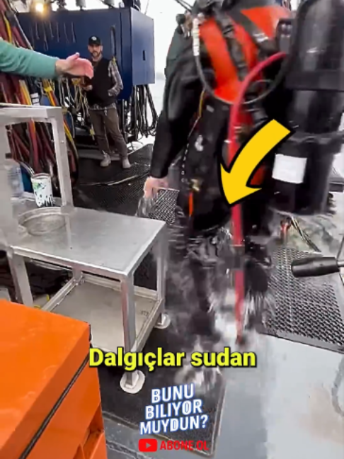 @Bunu Biliyor Muydun ?
