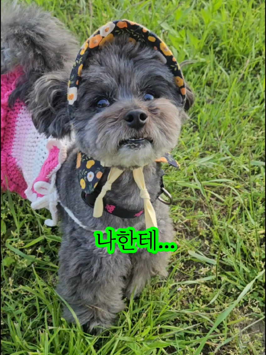 @복이🌲🌲🌲