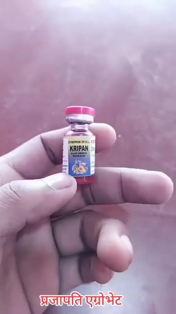 @Prajapati Agro Vet
