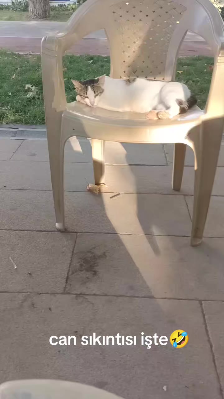 @minnoşlarim herşeyim♥️