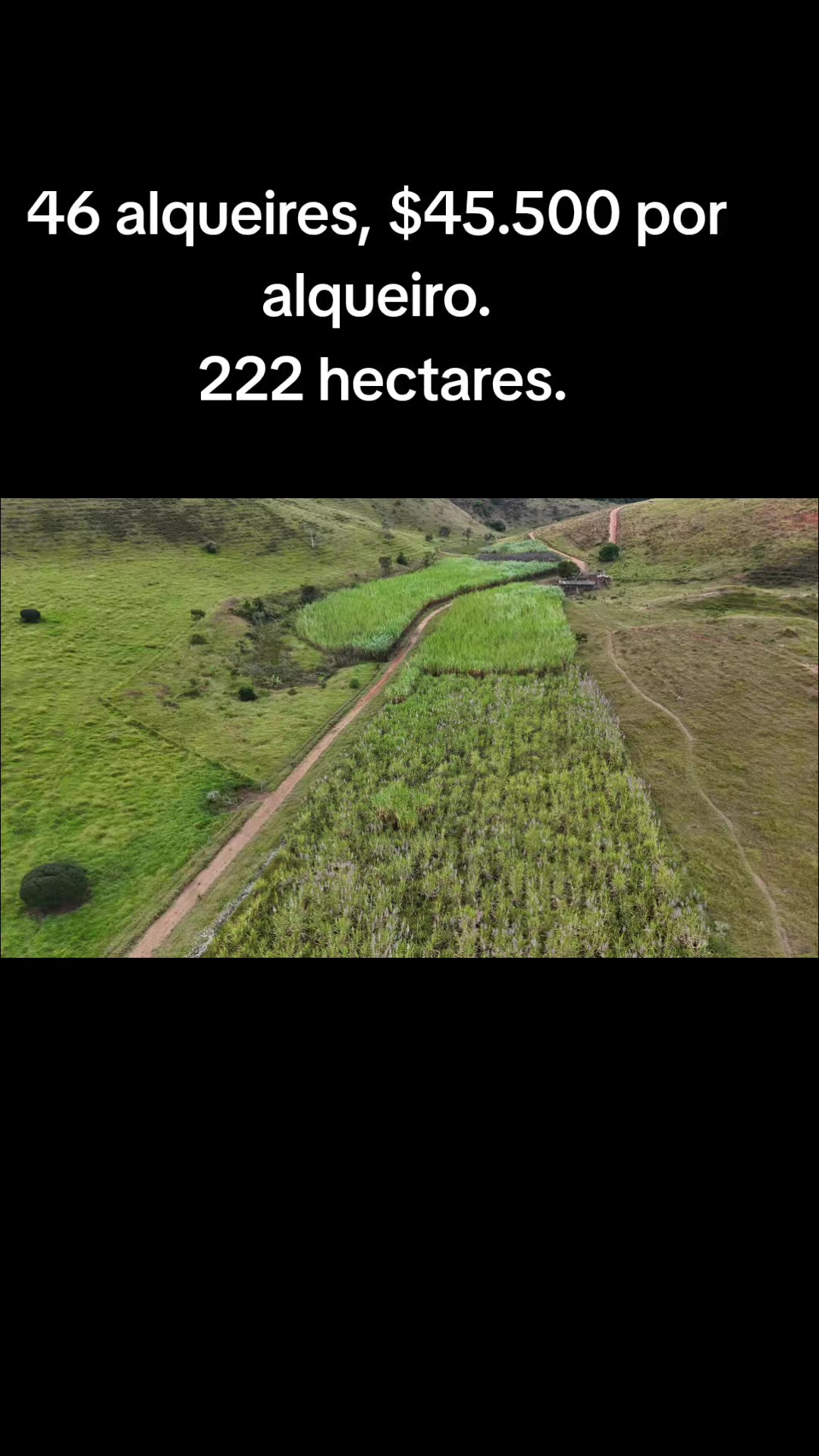 @O REI DAS FAZENDAS.
