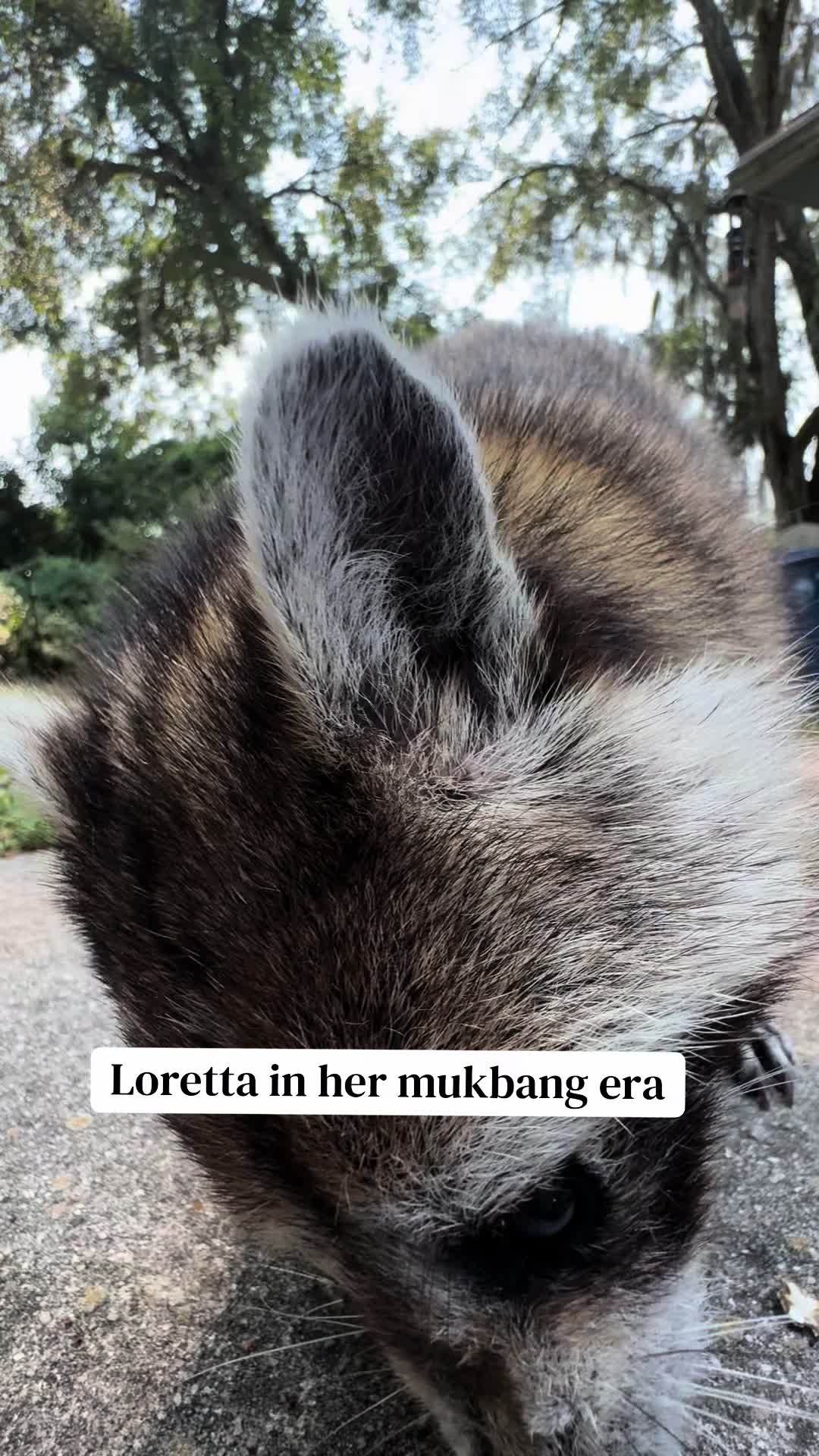 @bonnieontheloose