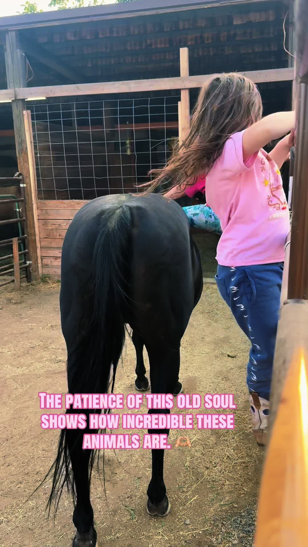 @Cowgirl Tuff Colt Training ❤️