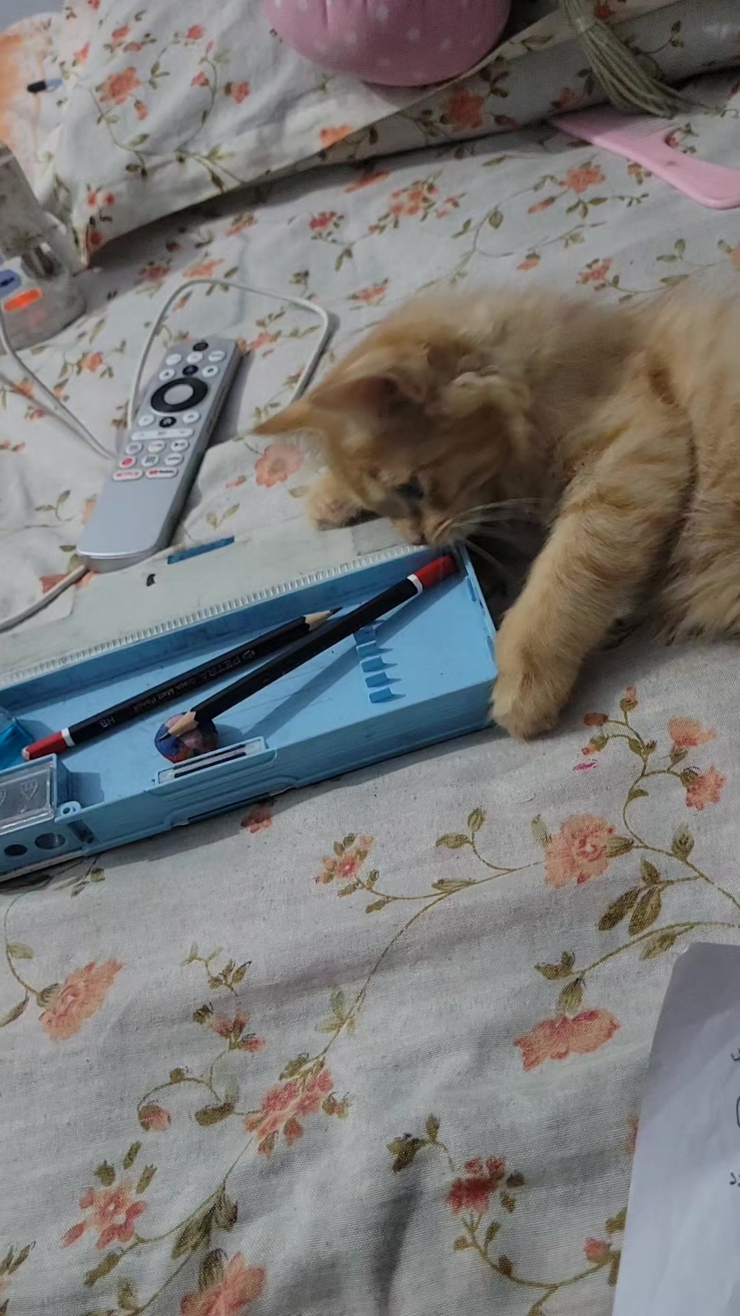 @নদী