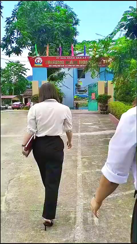 @❤️hoa núi rừng ❤️