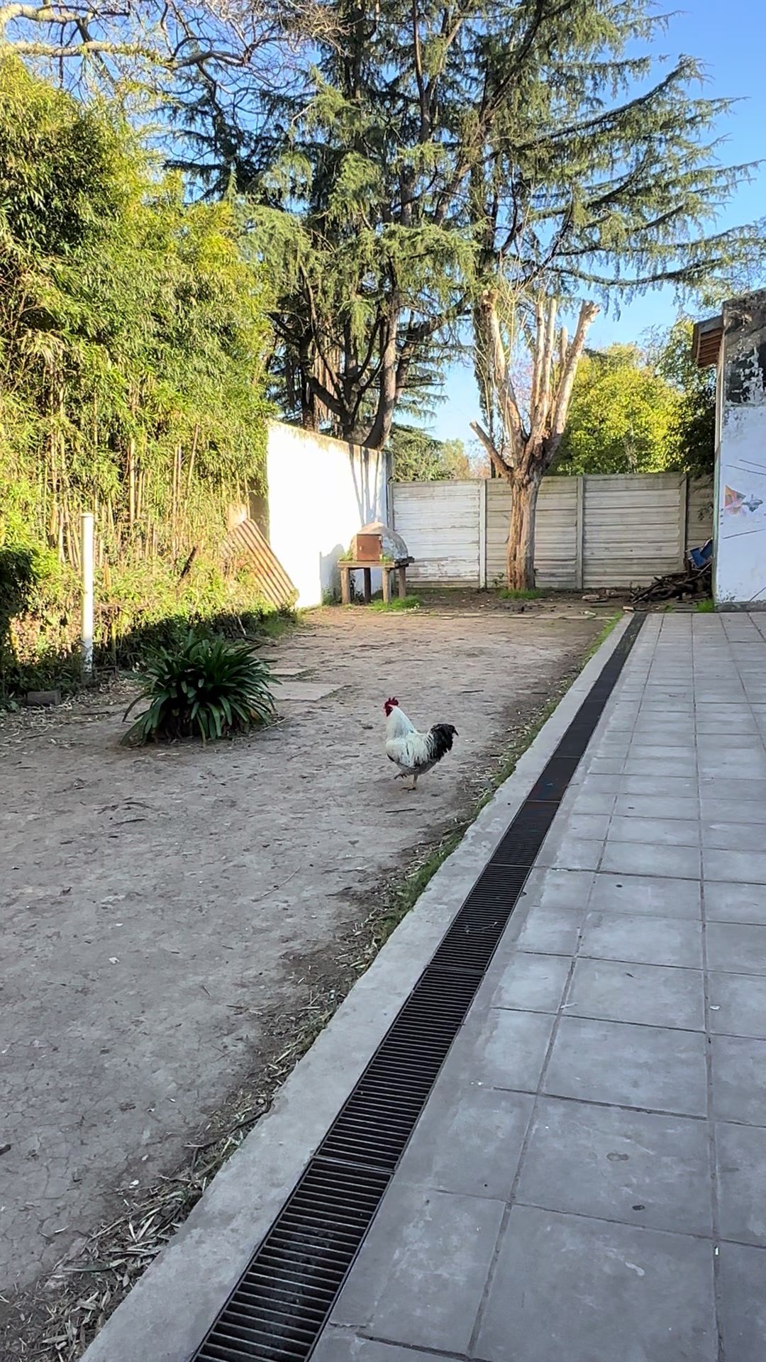@Sole Cazenave