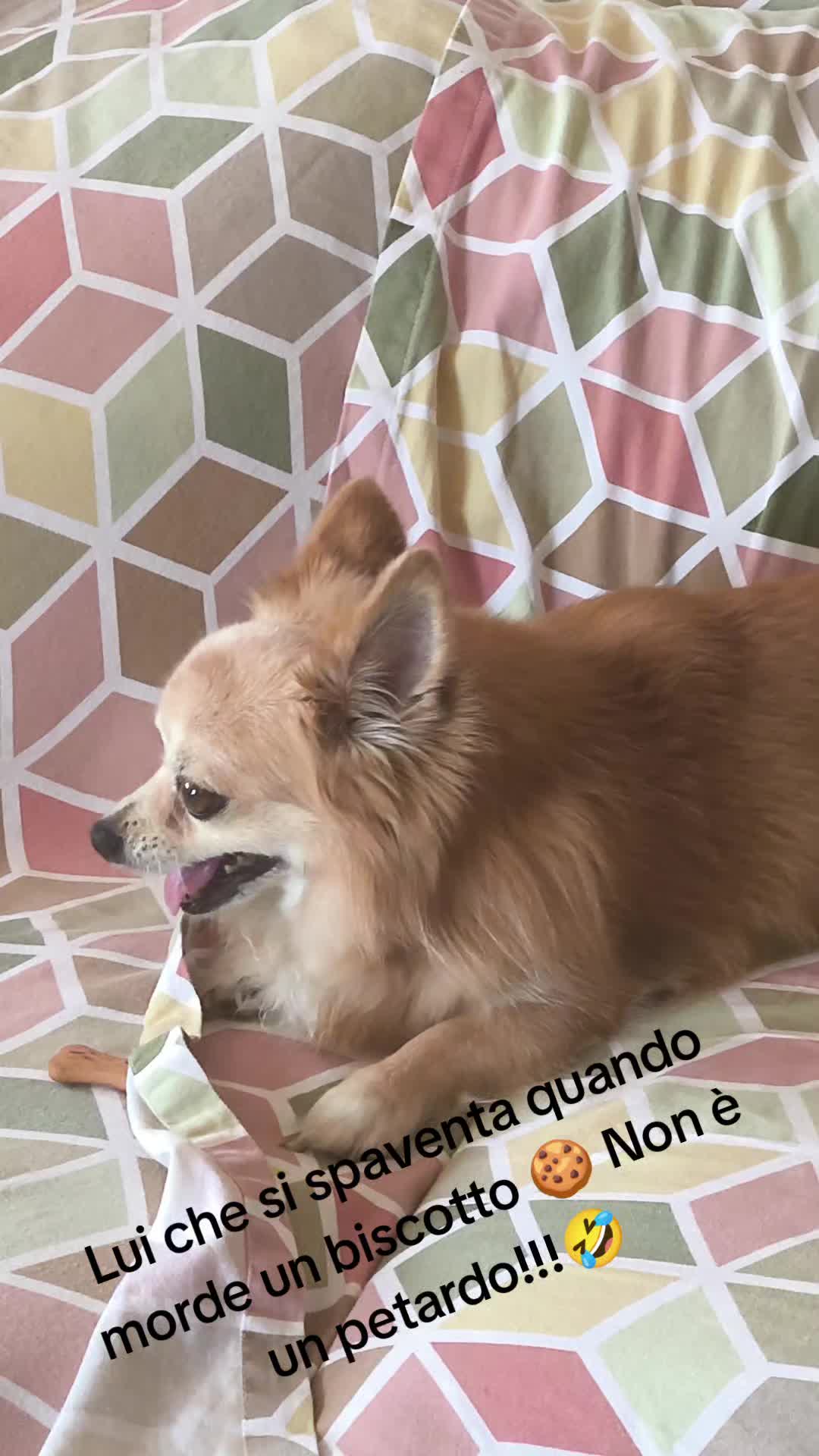 @La parrucchiera di TikTok...