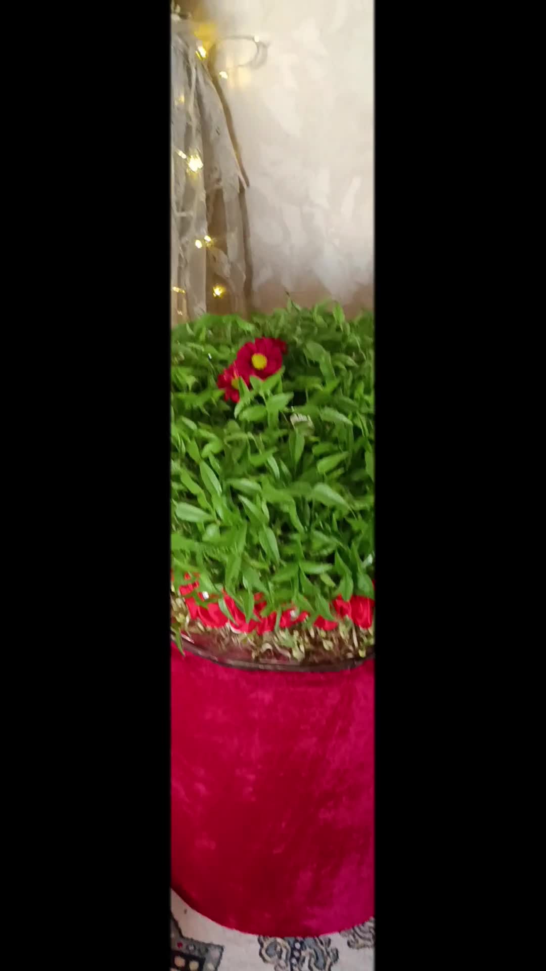 @Ş❤️N❤️A❤️A❤️A🧿