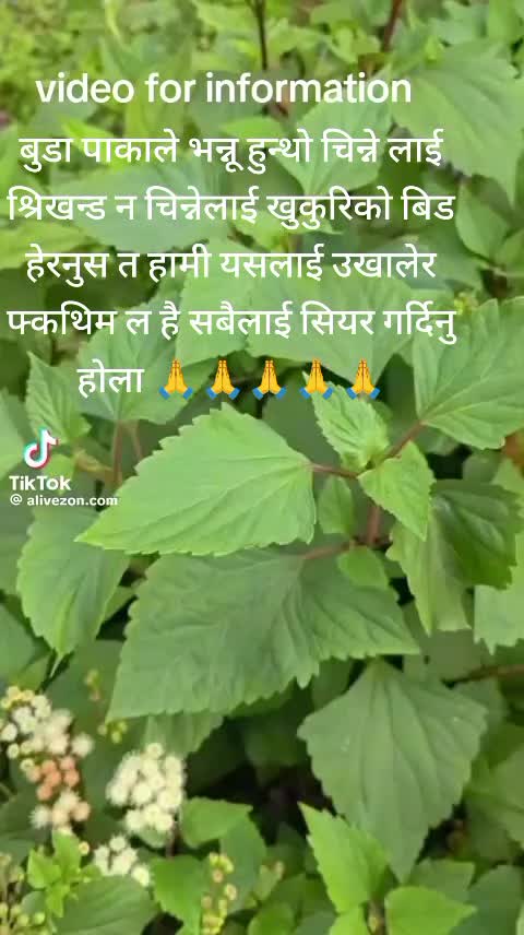 @Katuwal Shivaji