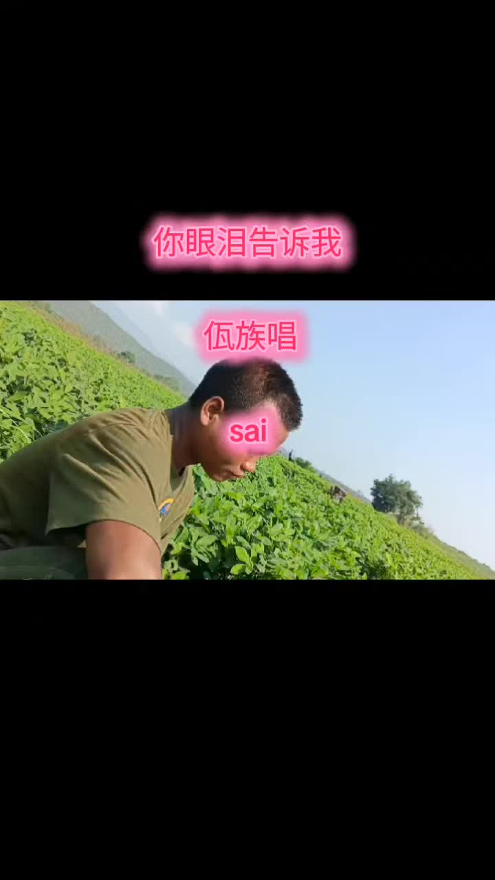 @佤族黑蜜蜂