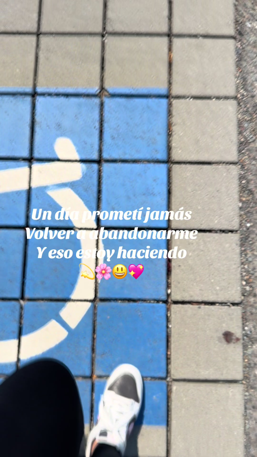 @αвєʝιтα🌼🐝