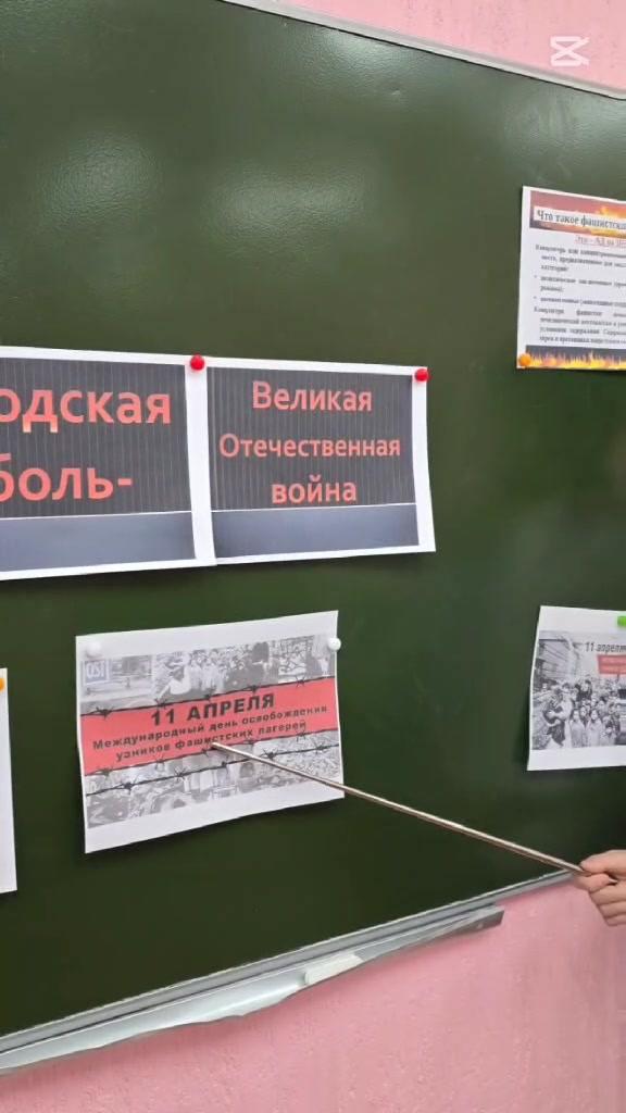 @school_8_bobr