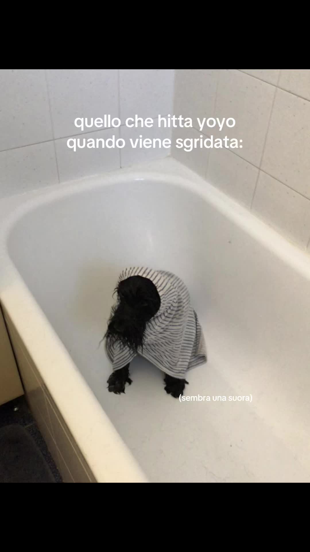 @annina44.44