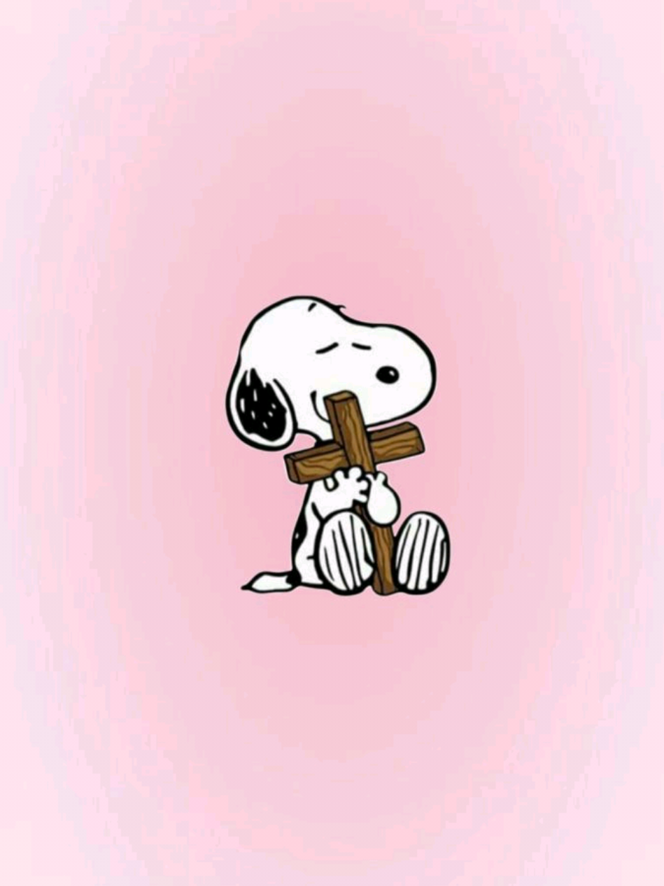 @~๐ ๐๐๐ฏโ ๐~