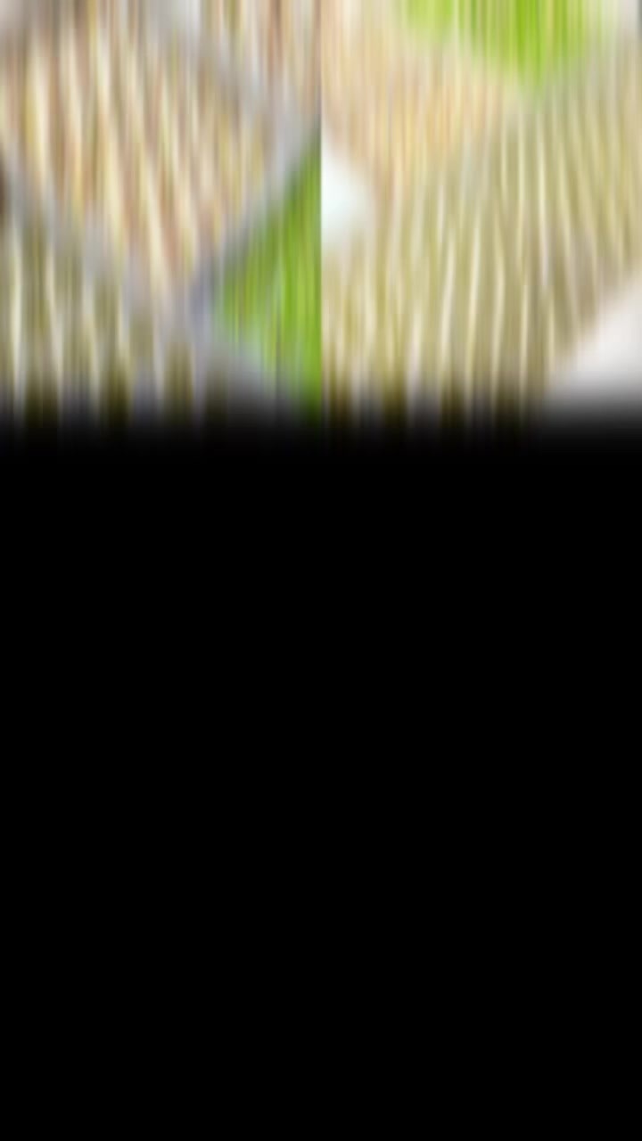 @๐
๐
จ๐
๐
๐
๐
ฃ๐
ก๐
๐
๐
๐

