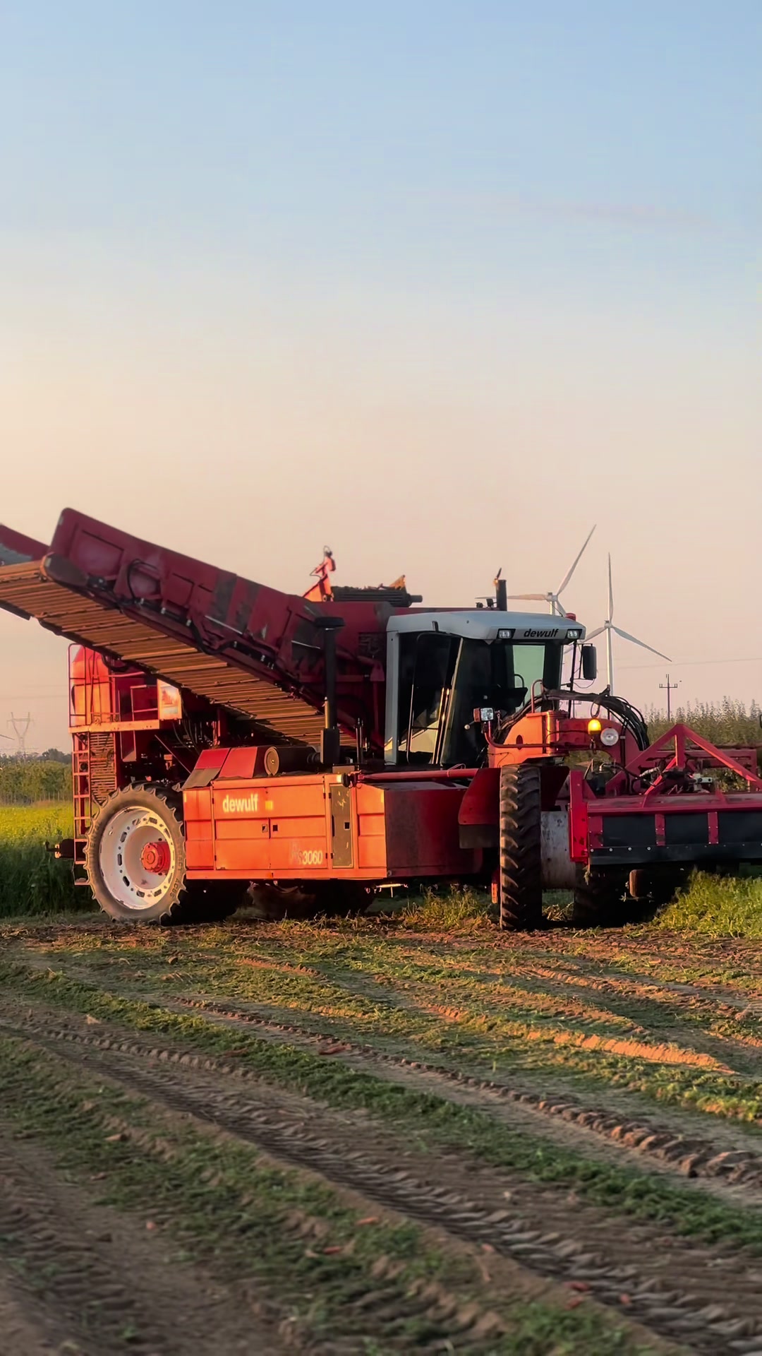 @Ćwikła agro