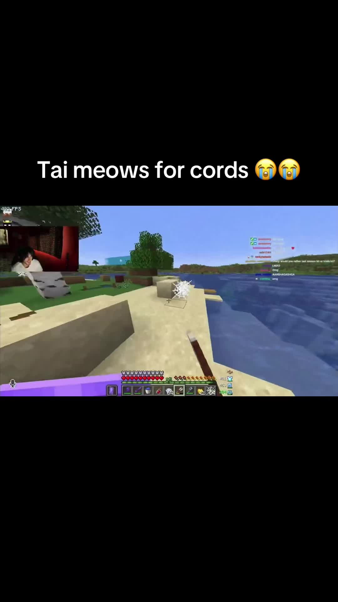 @geckobluez