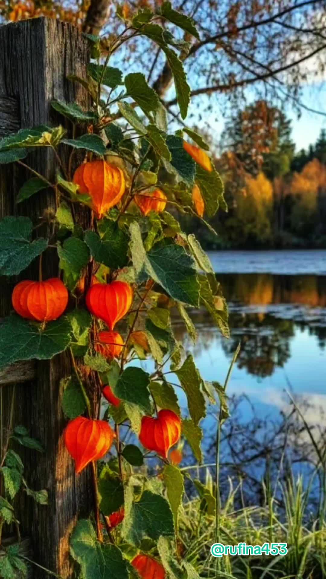 @💕💕Руфинa💕💕