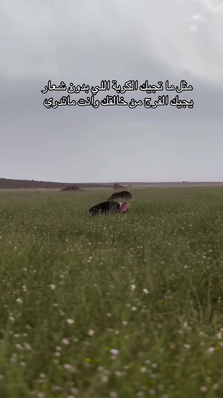 @شعور