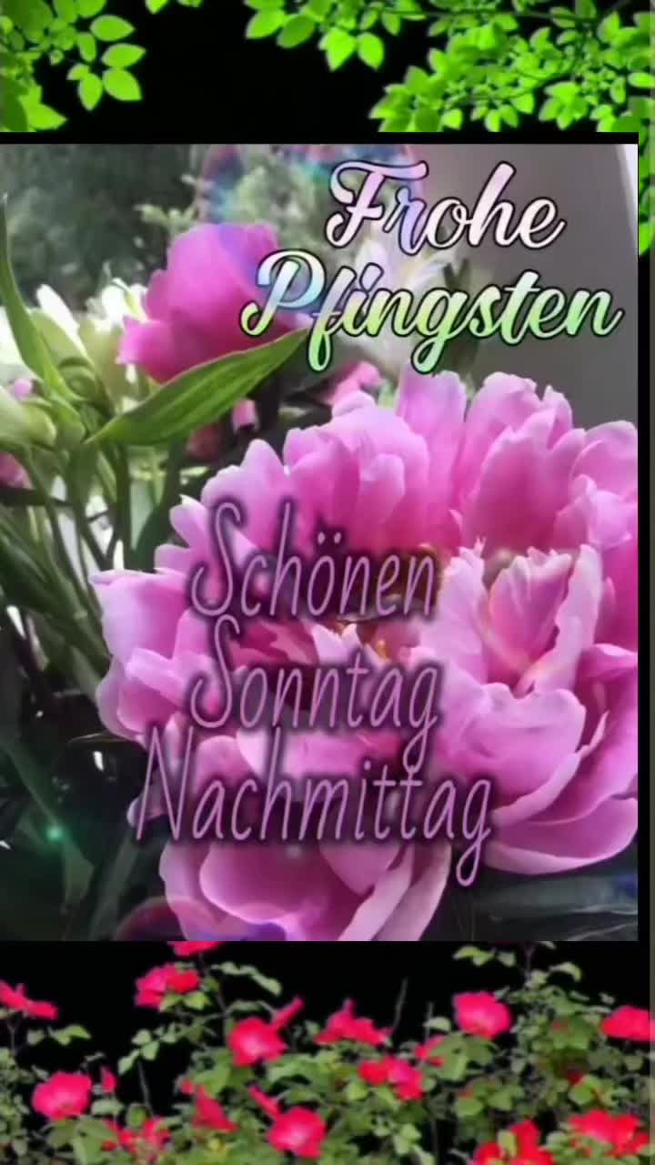 @🌷🌷P.❤️ J.🌷🌷