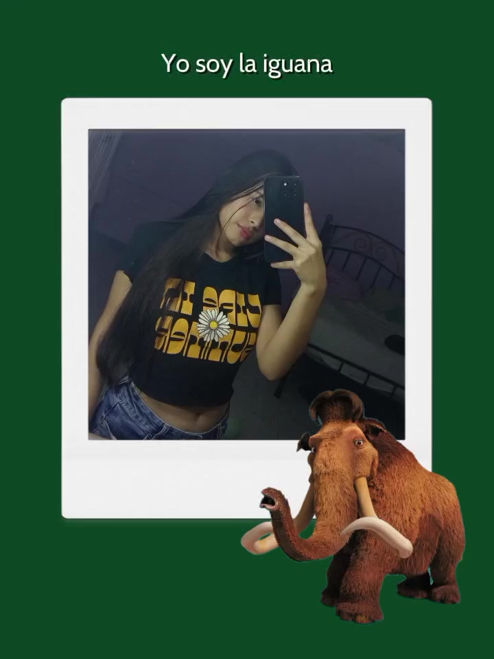 @francini 234