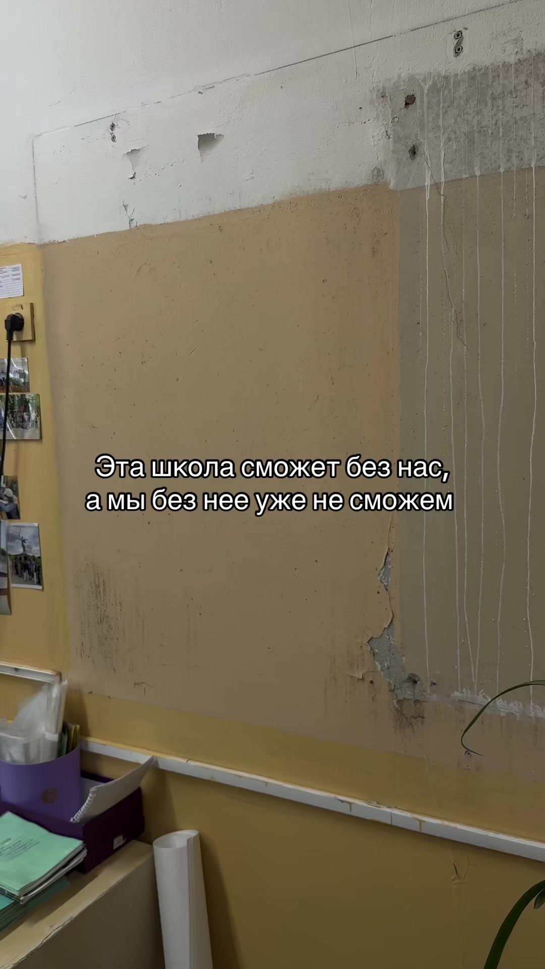 @polenlyt