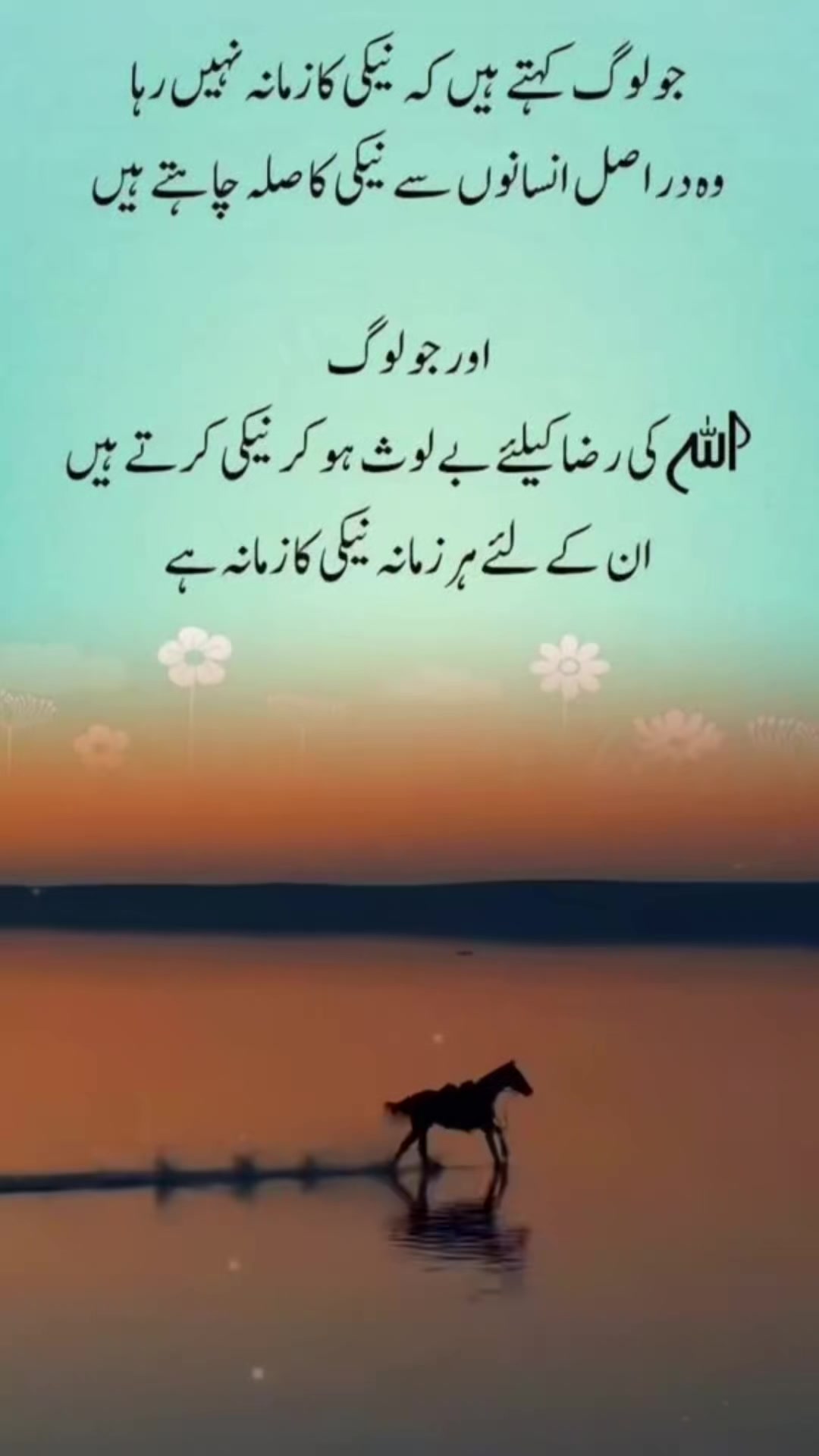 @🇹𝙖𝙢𝙧𝙖𝙞𝙯 🇰𝕙𝕒𝕟 🇵🇰