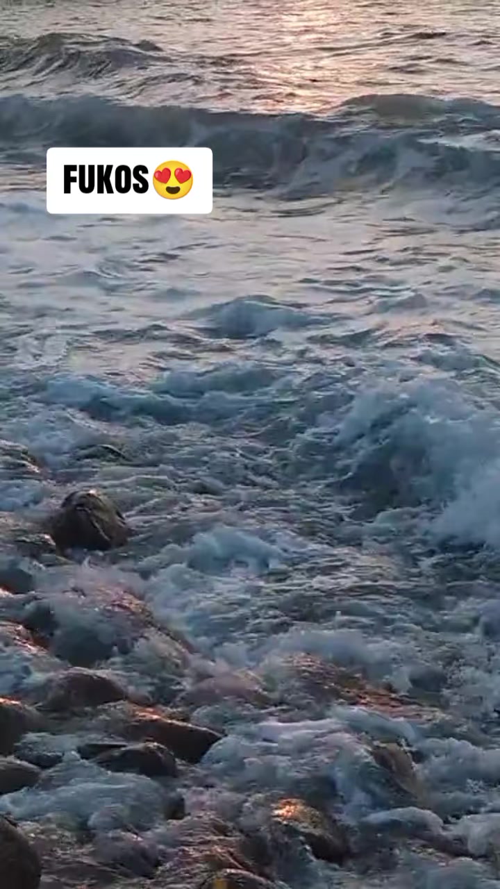 @Galicute53