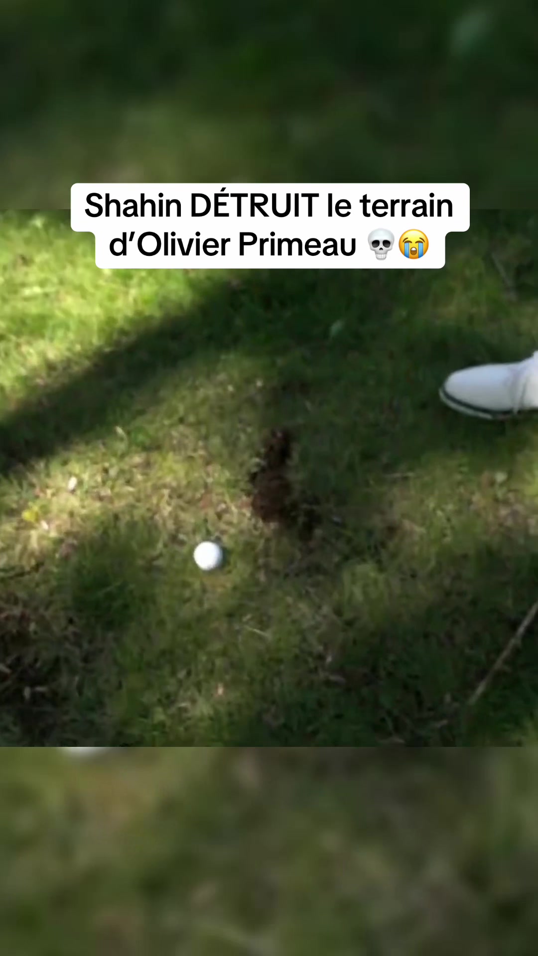 @Lewislefou